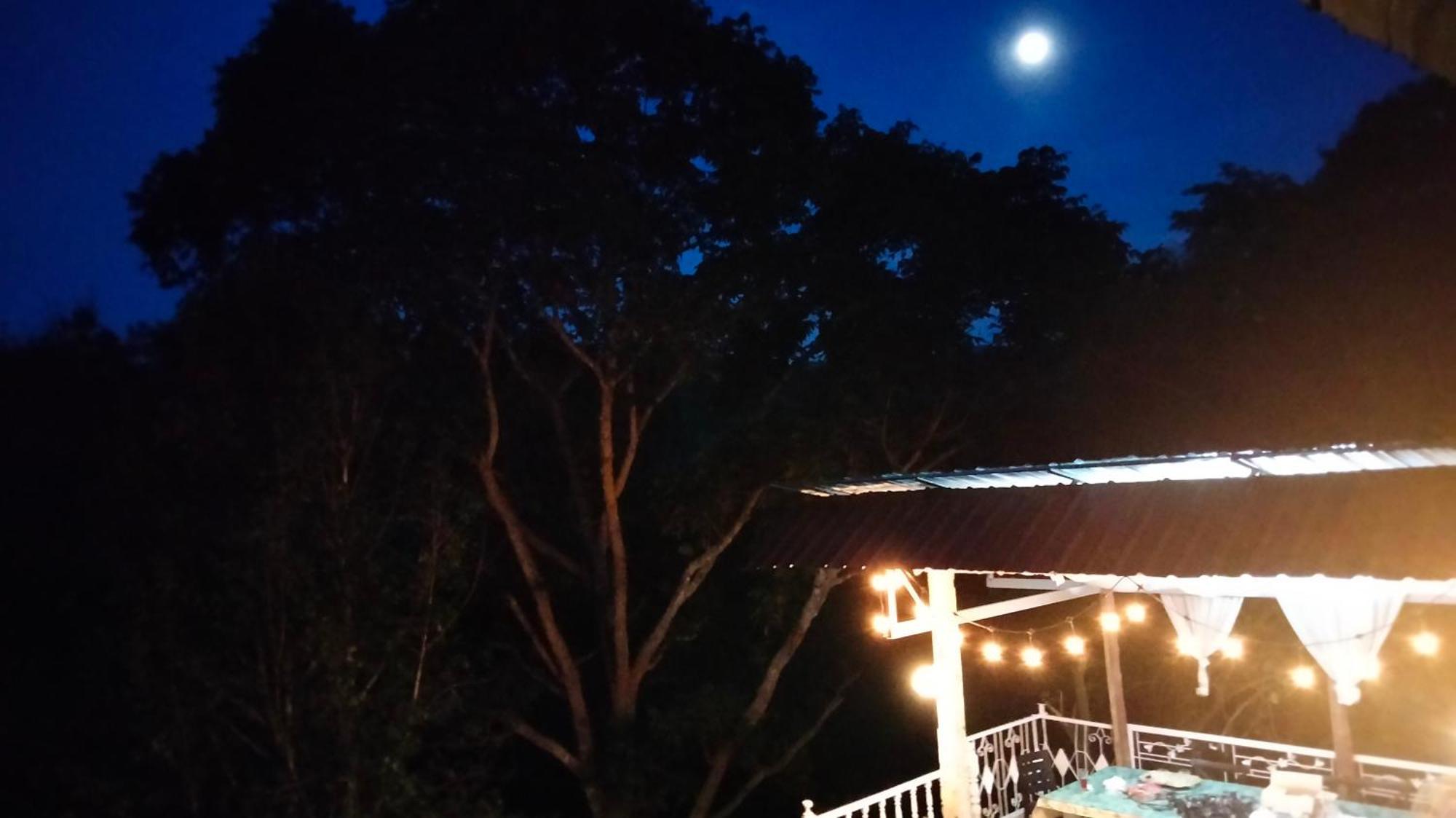 Balmy Hideout Cafe & Homestay Ban Huai Kaeo Eksteriør billede