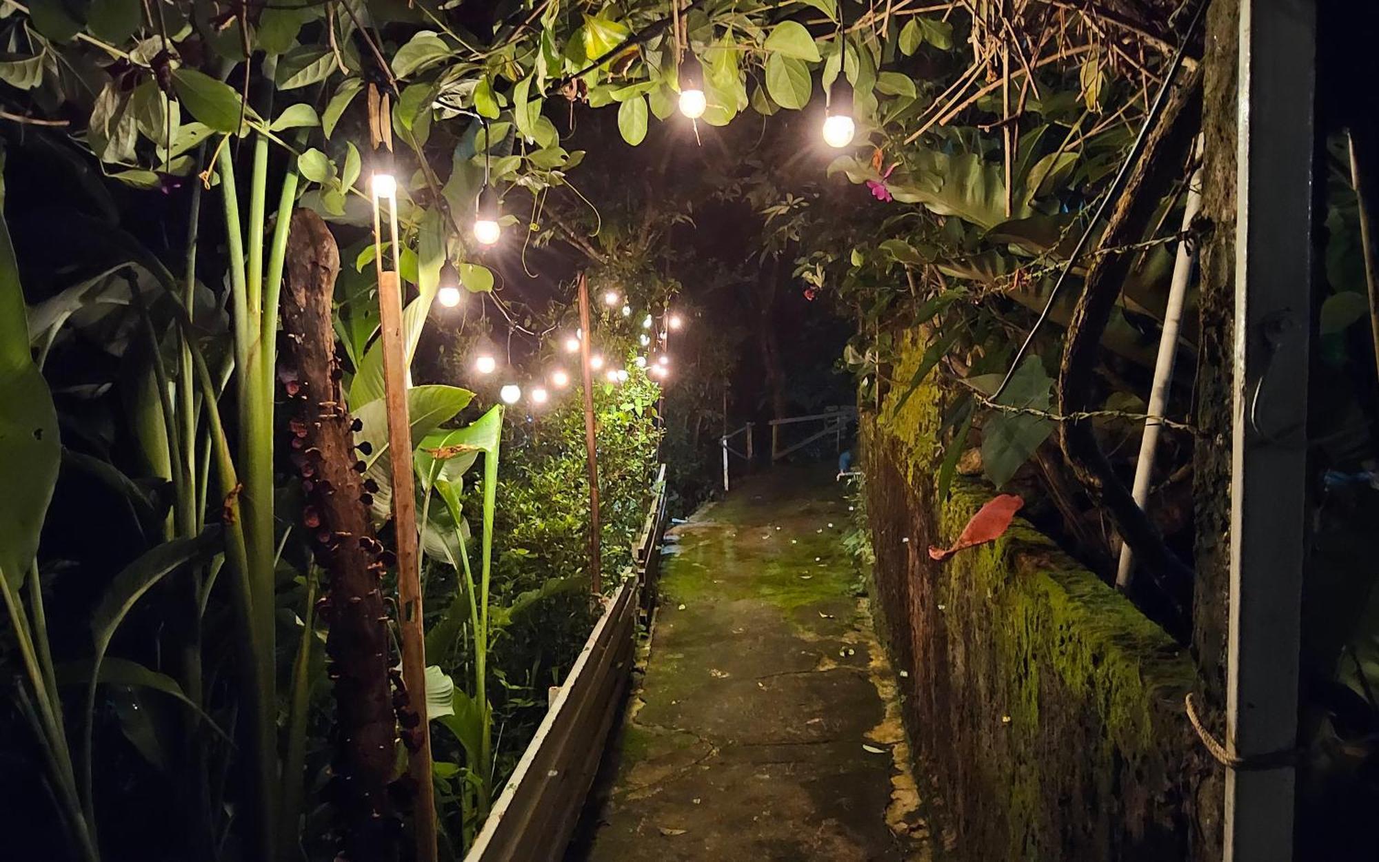 Balmy Hideout Cafe & Homestay Ban Huai Kaeo Eksteriør billede