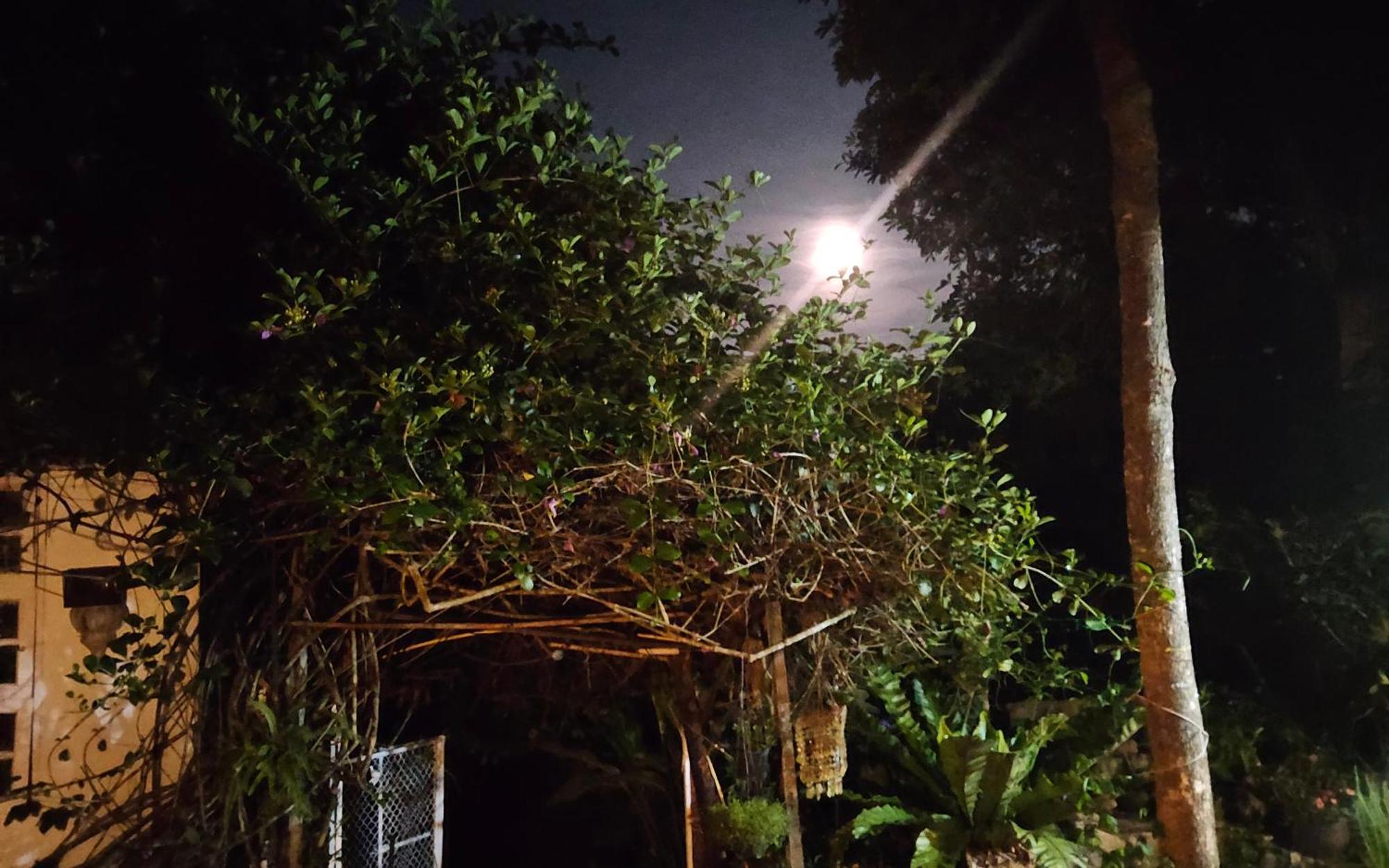 Balmy Hideout Cafe & Homestay Ban Huai Kaeo Eksteriør billede