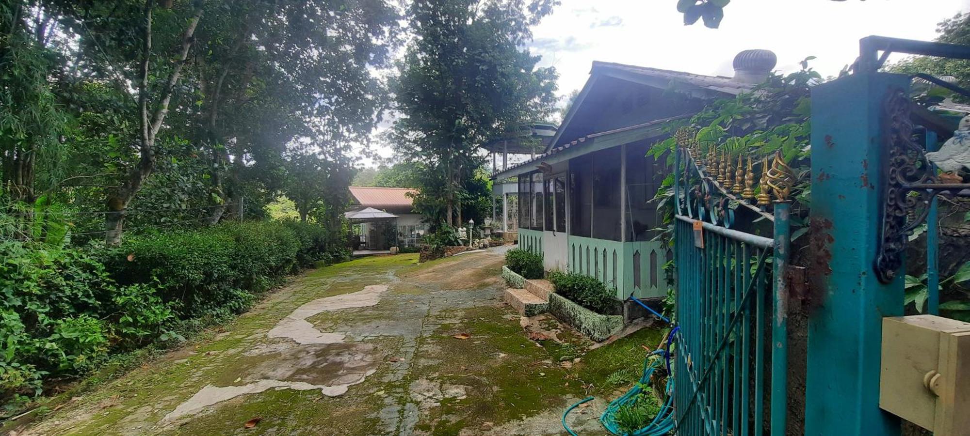 Balmy Hideout Cafe & Homestay Ban Huai Kaeo Eksteriør billede