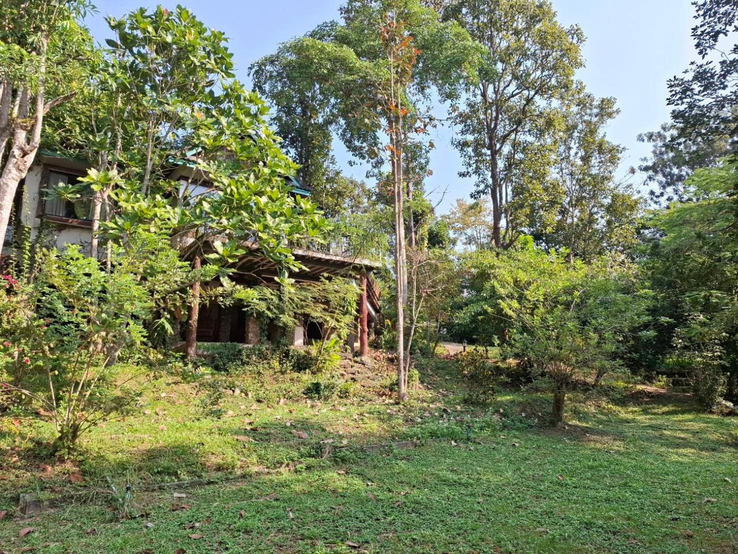 Balmy Hideout Cafe & Homestay Ban Huai Kaeo Eksteriør billede