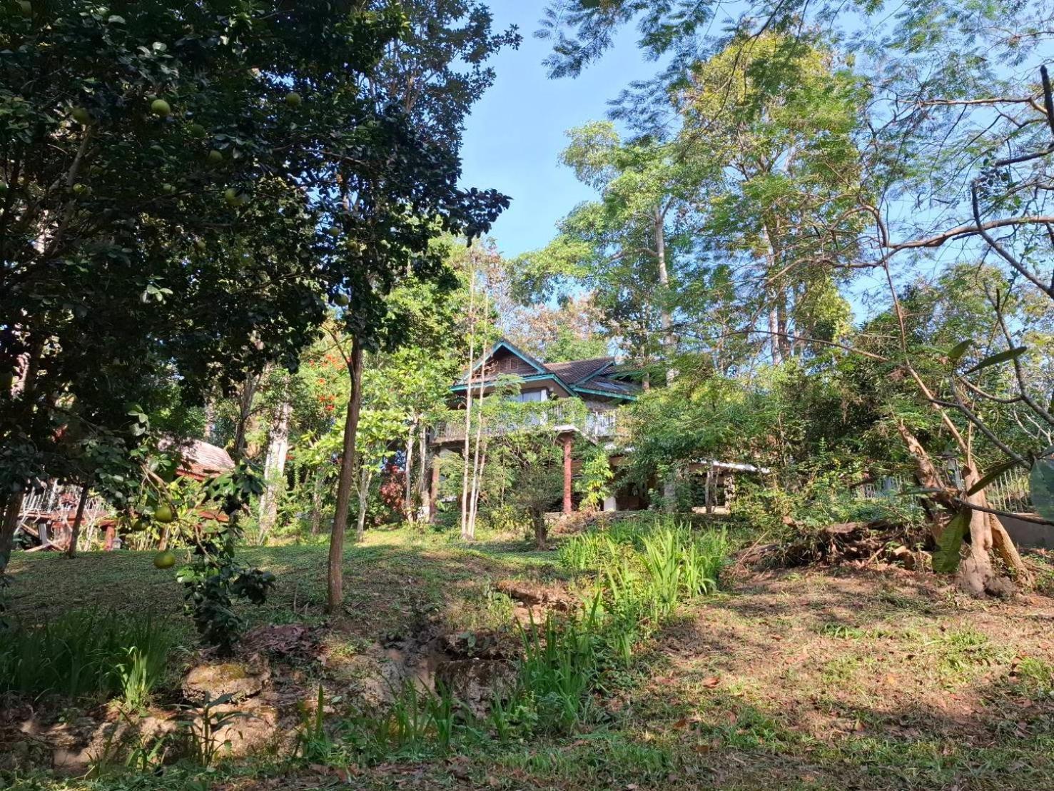 Balmy Hideout Cafe & Homestay Ban Huai Kaeo Eksteriør billede